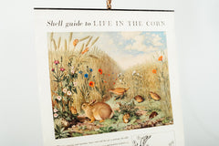 Shell Guides Poster ‘Life in the Corn’ 1958