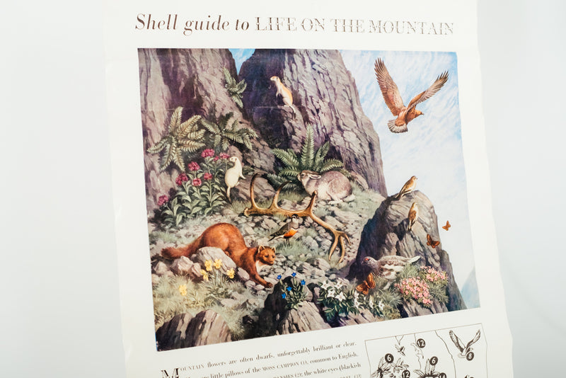 Shell Guides Poster ‘Life on the Mountain’ 1958